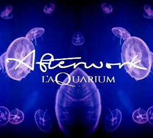 Afterwork aquarium de paris @ Aquarium