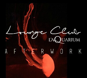Afterwork lounge club de l'aquarium @ Aquarium