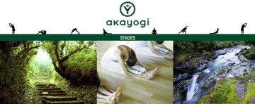 Cours de Yin Yoga & Meditation