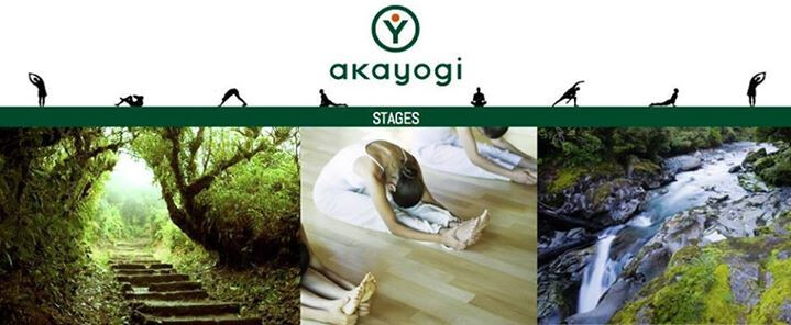 Cours de Yin Yoga & Meditation