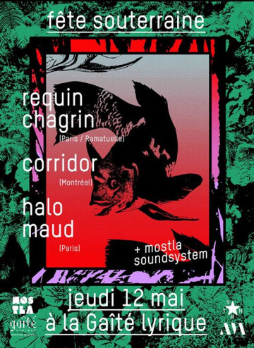 12/05 ► Fête Souterraine : Requin Chagrin / Corridor / Halo Maud