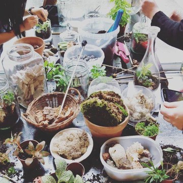 Atelier : Concevoir un terrarium