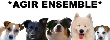 "AGIR ENSEMBLE: Révisez le statut juridique de l'animal et luttez contre le 3e trafic français".