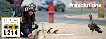 Action L214 "Bonnes résolutions"