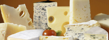 2ème édition du Cheese DAY