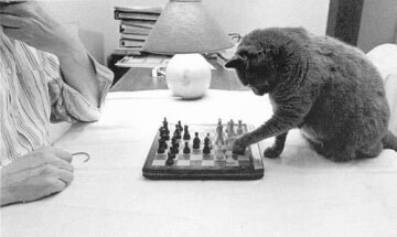 Atelier échec et mat