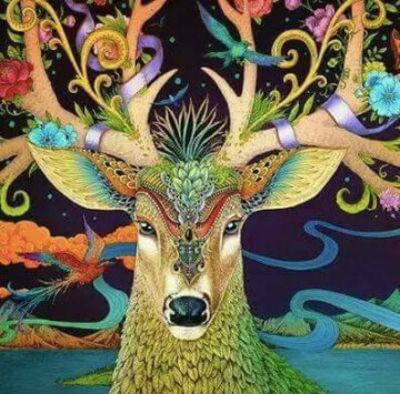 Cercle d'unité PACHAMAMA ~Voyage Chamanique.