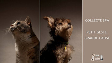 Collecte à Bordeaux Lac