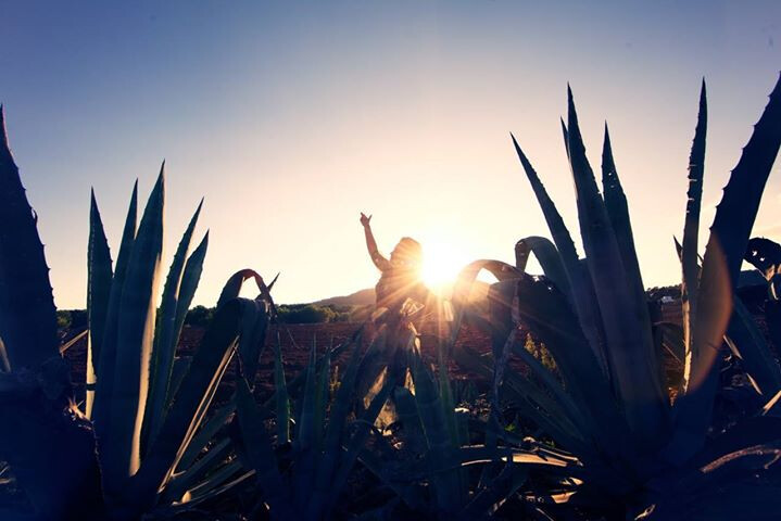 Acro Yoga with Ola Jas