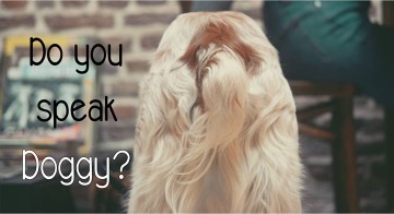 Conférence #2 "Do you speak Doggy?"