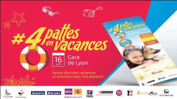 4pattesenvacances