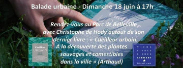 A la découverte des plantes sauvages de Bellleville