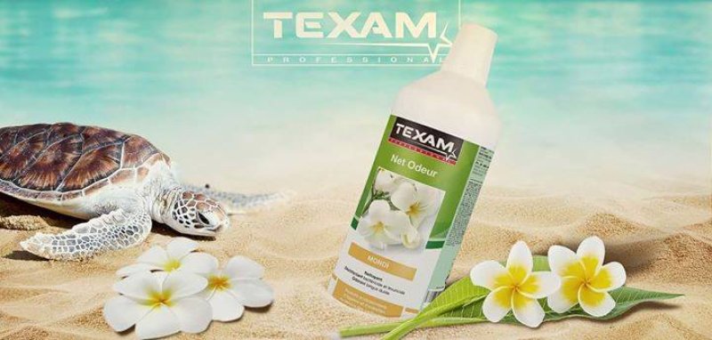 PRESENTATION DES PRODUITS TEXAM Entretien ménagers