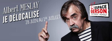 Albert Meslay Je délocalise - Lyon