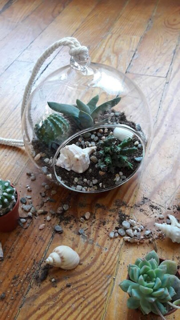 Atelier terrarium!