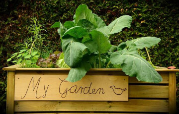 Ateliers fabrication de bacs potagers 15 & 29 juillet