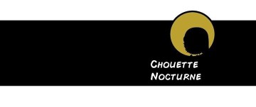 Chouette Nocturne 2017 #19