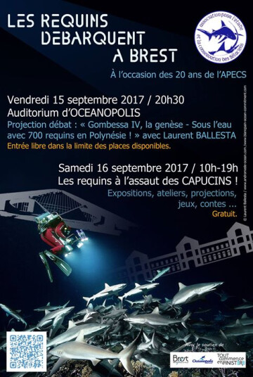 Les requins débarquent à Brest pour les 20 ans de l'APECS !
