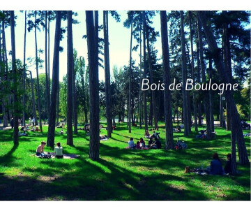 2€ / Séance de Running au bois de Boulogne