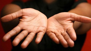 Formation complète de Chirologie