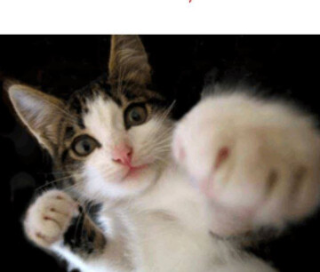 /COMPLET/ Cours d'autodéfense féministe