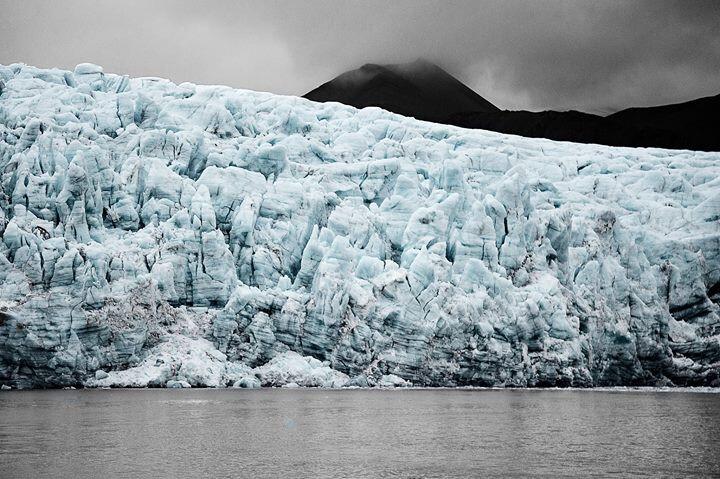 Exposition : Dauriane Viard présente son "Voyage polaire"