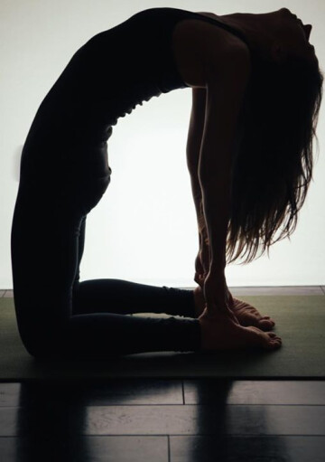 «Female Pelvic Floor:Anatomy,Awareness,Discovery» with Sharon Bales