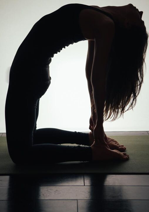 «Female Pelvic Floor:Anatomy,Awareness,Discovery» with Sharon Bales