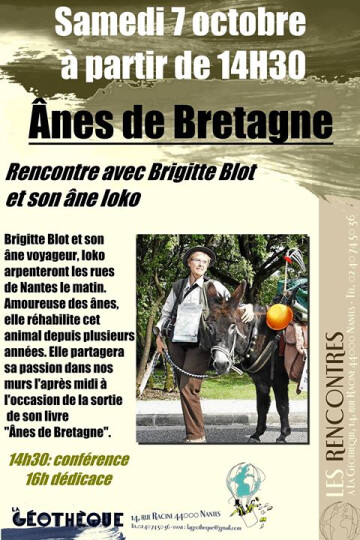 Anes de Bretagne: rencontre avec Brigitte Blot et son âne Ioko