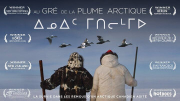 Au gré de la plume arctique - projection