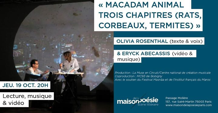 « Macadam Animal trois chapitres (rats, corbeaux, termites) »
