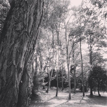 /Screamo/Rock/Indus/Party/Shit/