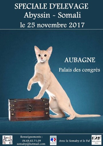 Spéciale d'élevage Abyssin et Somali Aubagne 2017