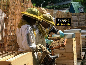 ┃Stage┃Apiculture 2 Jours pour S'initier, Reprendre, Se lancer!