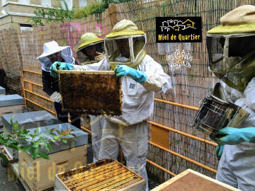 ┃Stage┃Apiculture 2 Jours pour S'initier, Reprendre, Se lancer!