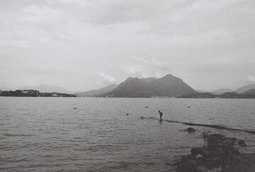 Amphimidi de l'Opéra : Z I B E L L I