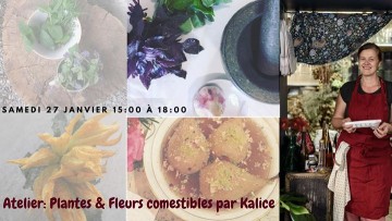 Atelier: Plantes et Fleurs Comestible de notre terroir
