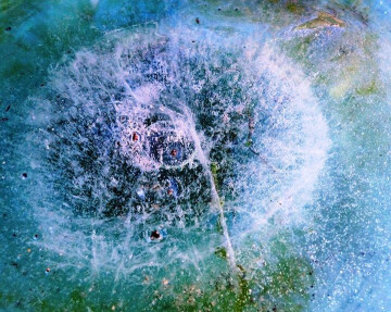 Atelier Ecrire et Méditer - avec Marie-Paule Bétaille