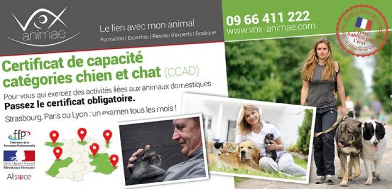 Attestation de connaissances (ancien CCAD)