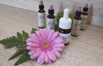 Améliorez votre confiance en vous avec les Fleurs de Bach