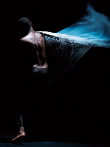 ✺ Signes de Printemps - Spectacles Sauvages ✺