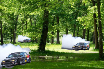 Élagage des arbres en Bmw au bois de Boulogne