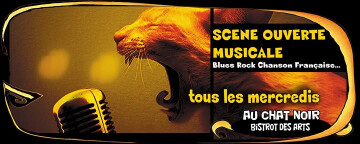 Scène Ouverte Musicale au Chat Noir