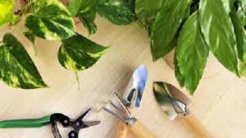 24 hs de l'agriculture urbaine -Troc de plantes des trois soeurs