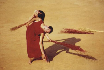 « A Bird’s Algebra in Desert Time »