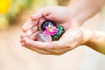 À la rencontre de l'Oeuf