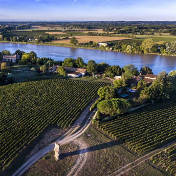 À la découverte des vins de Saint-Emilion