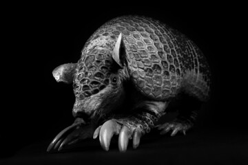 Animation et visite de l'exposition Collections, collectionneurs