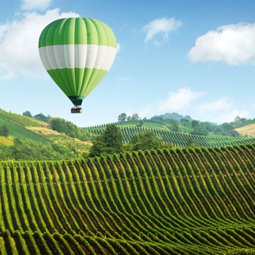 L'oenotourisme, d'un continent à l'autre