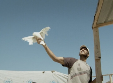 Kachach, au-dessus de Zaatari de Bruno Pieretti